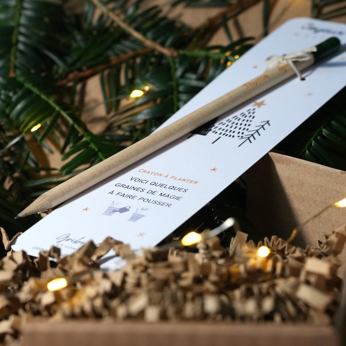 Crayon à planter Joyeux Noël maitresse